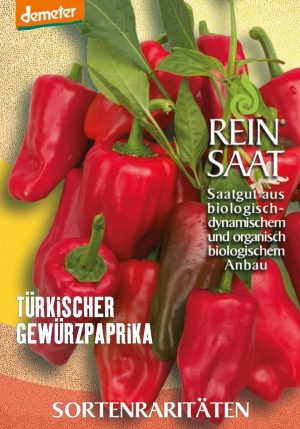 türkischer gewürzpaprika chili chilli pfefferoni lanterna de foc medium paprika gemüse samen sativa reinsaat kompost&liebe kompost und liebe bio demeter düngung saatgut samen