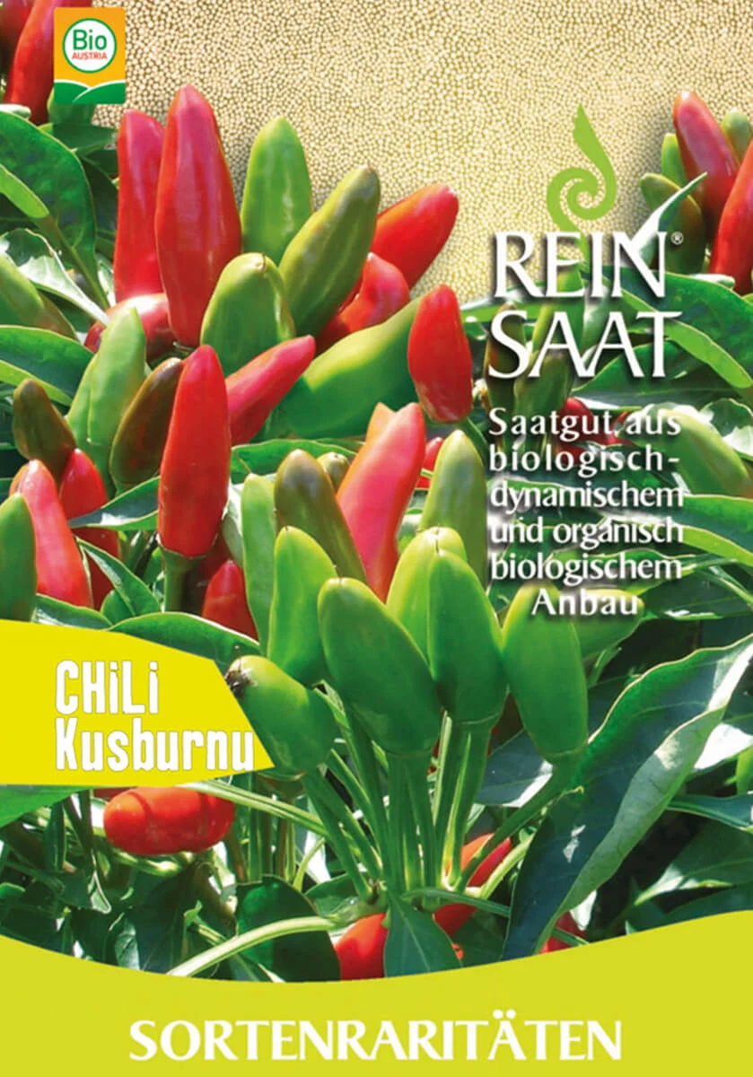 Kusburnu (MHD 24) 1 chili kusburnu chilli pfefferoni medium paprika gemüse samen sativa reinsaat kompost&liebe kompost und liebe bio demeter düngung saatgut samen
