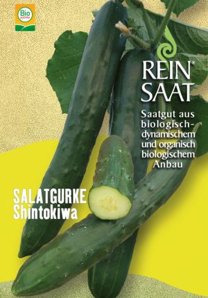 Salatgurke Schlangengurke Freilandgurke Shintokiwa halbdeterminiert Buschtomate Balkontomate bio demeter gemüse samen sativa reinsaat kompost&liebe kompost und liebe bio demeter düngung saatgut samen rigotti rigottitomate