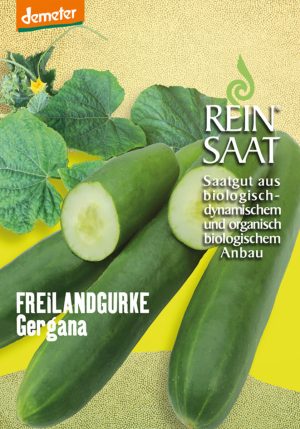 Salatgurke Schlangengurke Freilandgurke Gergana halbdeterminiert Buschtomate Balkontomate bio demeter gemüse samen sativa reinsaat kompost&liebe kompost und liebe bio demeter düngung saatgut samen rigotti rigottitomate