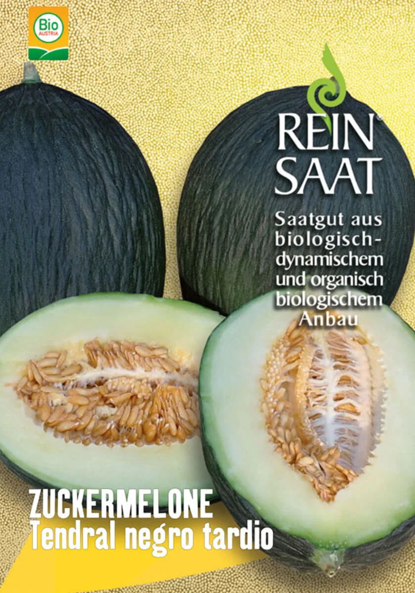 Tendral Negro Tardio 1 Zuckermelone Tendral Negro Tardio bio demeter gemüse samen sativa reinsaat kompost&liebe kompost und liebe bio demeter düngung saatgut samen rigotti rigottitomate