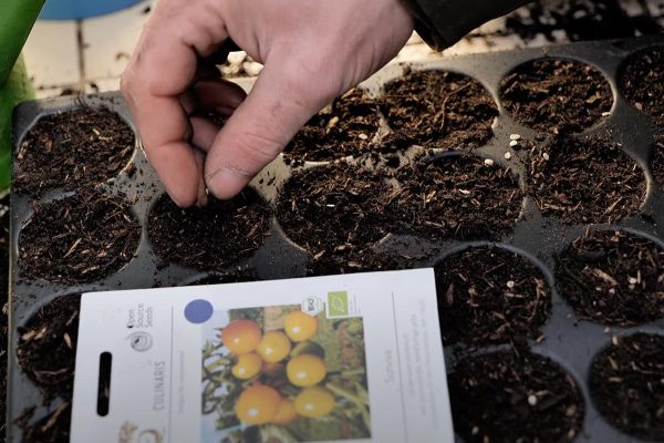 Quickpot Anzuchtplatten kaufen Herkuplast Vorzucht Anzucht Voranzucht Gemüse selbst ziehen