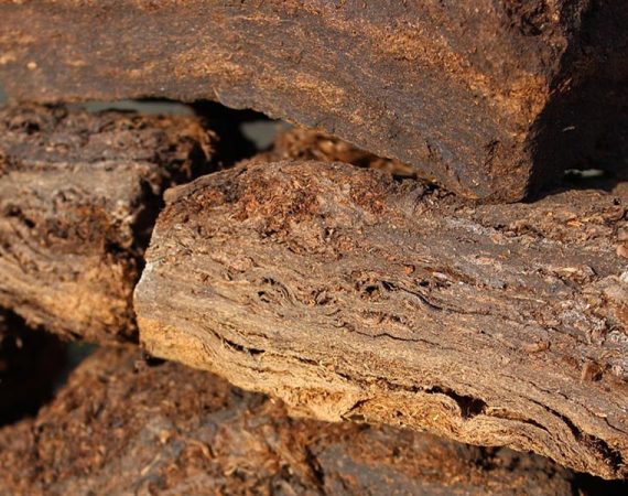 Torffreie Erde Gemüseerde, Blumenerde, kaufen, ohne Torf, Gründe auf Torf zu verzichten