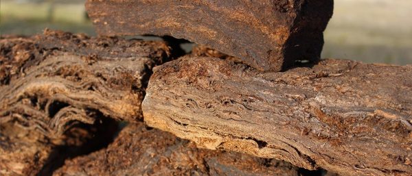 Torffreie Erde Gemüseerde, Blumenerde, kaufen, ohne Torf, Gründe auf Torf zu verzichten