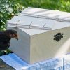 XXL-Saatgut-Box-Natur