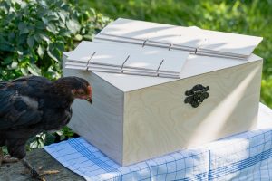 XXL-Saatgut-Box-Natur