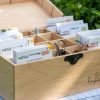 XXL-Saatgut-Box-offen1