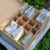 XXL-Saatgut-Box-offen2