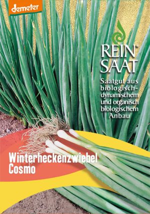 winterheckenzwiebel cosmo gemüse samen sativa reinsaat kompost&liebe kompost und liebe bio demeter düngung saatgut samen