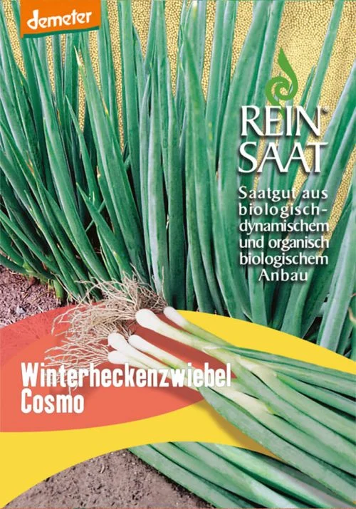 winterheckenzwiebel cosmo gemÃ¼se samen sativa reinsaat kompost&liebe kompost und liebe bio demeter dÃ¼ngung saatgut samen