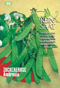 Ambrosia Zuckererbse-samen samen -reinsaat bio, samenfestes saatgut, bei Kompost&Liebe kaufen