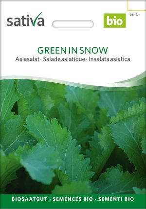 Green in Snow Asiasalat,Samen,Saatgut,Bio Sativa kompost und liebe kaufen