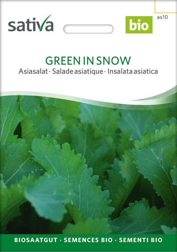 Green in Snow Asiasalat,Samen,Saatgut,Bio Sativa kompost und liebe kaufen