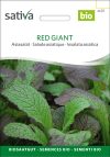 Red Giant, Asiasalat,Samen,Saatgut,Bio Sativa kompost und liebe kaufen