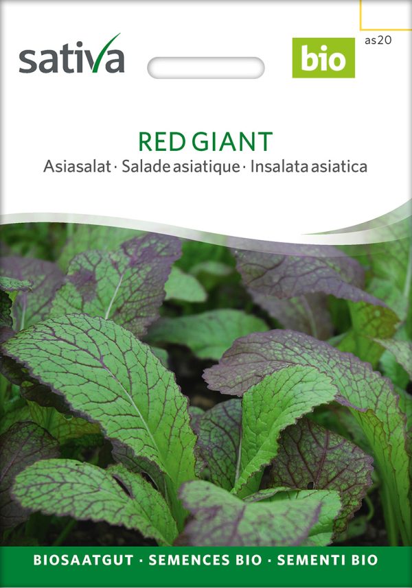 Red Giant, Asiasalat,Samen,Saatgut,Bio Sativa kompost und liebe kaufen