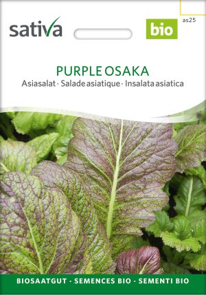 Asiasalat Purple Osaka pro specie rara samen bio saatgut sativa kompost&liebe kaufen online shop