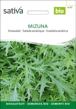 Asiasalat mizuna samen bio saatgut sativa kompost&liebe kaufen online shop