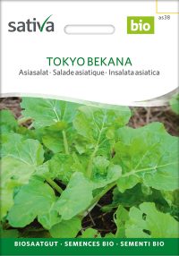 Tokyo Bekana Asiasalat samen bio saatgut sativa kompost&liebe kaufen online shop
