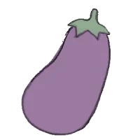 aubergine samen kompost und liebe saatgut