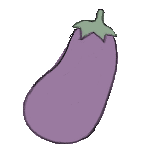 aubergine samen kompost und liebe saatgut