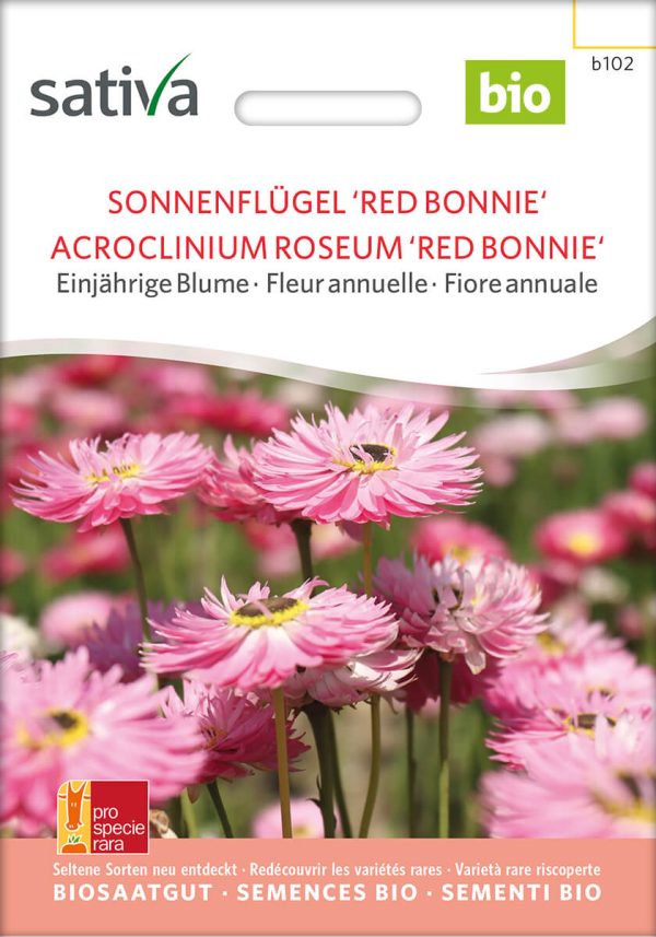 Sonnenflügel Red Bonnie, einjährige blumen Insektenweide Bienenweide einjährige blumen pro specie rara samen bio saatgut sativa kompost&liebe kaufen online shop bestellen demeter