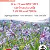 blauer waldmeister einjÃ¤hrige blumen pro specie rara samen bio saatgut sativa kompost&liebe kaufen online shop