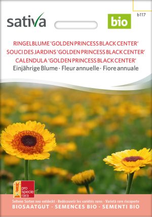 Ringelblume 'Golden Princess Black Center' einjährige blumen Insektenweide Bienenweide einjährige blumen pro specie rara samen bio saatgut sativa kompost&liebe kaufen online shop bestellen demeter