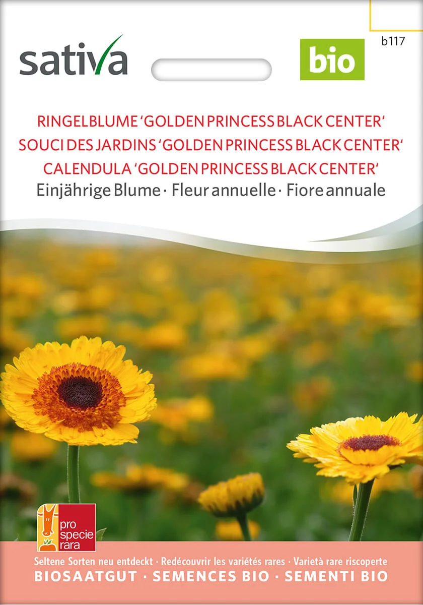 Ringelblume 'Golden Princess Black Center' 1 Ringelblume 'Golden Princess Black Center' einjährige blumen Insektenweide Bienenweide einjährige blumen pro specie rara samen bio saatgut sativa kompost&liebe kaufen online shop bestellen demeter