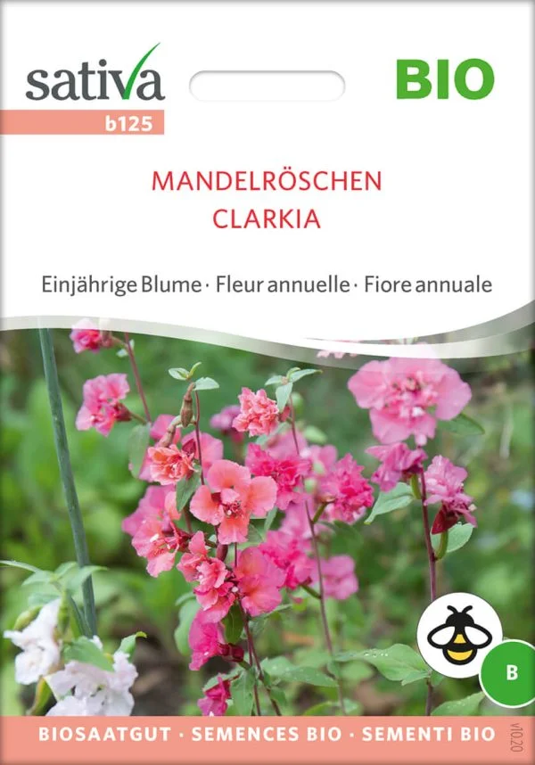 Mandelröschen einjährige blumen Insektenweide Bienenweide einjährige blumen pro specie rara samen bio saatgut sativa kompost&liebe kaufen online shop