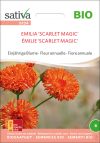 emilia scarlet magic roggli riesen einjÃ¤hrige blumen Insektenweide Bienenweide einjÃ¤hrige blumen pro specie rara samen bio saatgut sativa kompost&liebe kaufen online shop