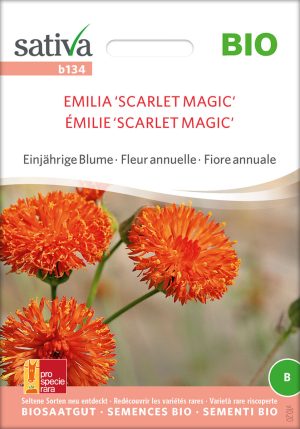 emilia scarlet magic roggli riesen einjährige blumen Insektenweide Bienenweide einjährige blumen pro specie rara samen bio saatgut sativa kompost&liebe kaufen online shop