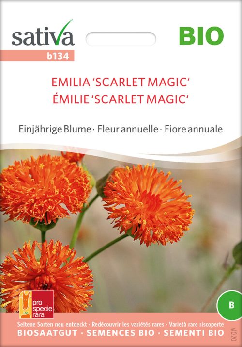 emilia scarlet magic roggli riesen einjährige blumen Insektenweide Bienenweide einjährige blumen pro specie rara samen bio saatgut sativa kompost&liebe kaufen online shop