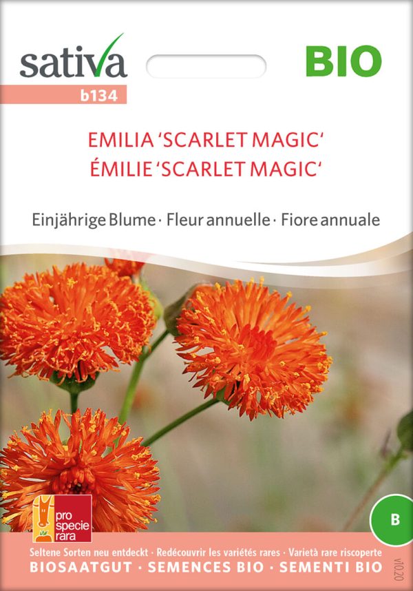 emilia scarlet magic roggli riesen einjährige blumen Insektenweide Bienenweide einjährige blumen pro specie rara samen bio saatgut sativa kompost&liebe kaufen online shop