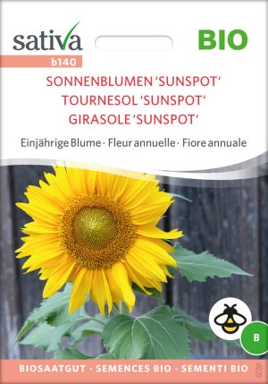 Sonnenblume sunspot Insektenweide Bienenweide einjährige blumen pro specie rara samen bio saatgut sativa kompost&liebe kaufen online shop