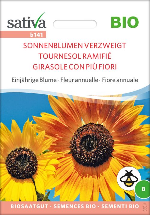 Sonnenblume verzweigt Insektenweide Bienenweide einjÃ¤hrige blumen pro specie rara samen bio saatgut sativa kompost&liebe kaufen online shop
