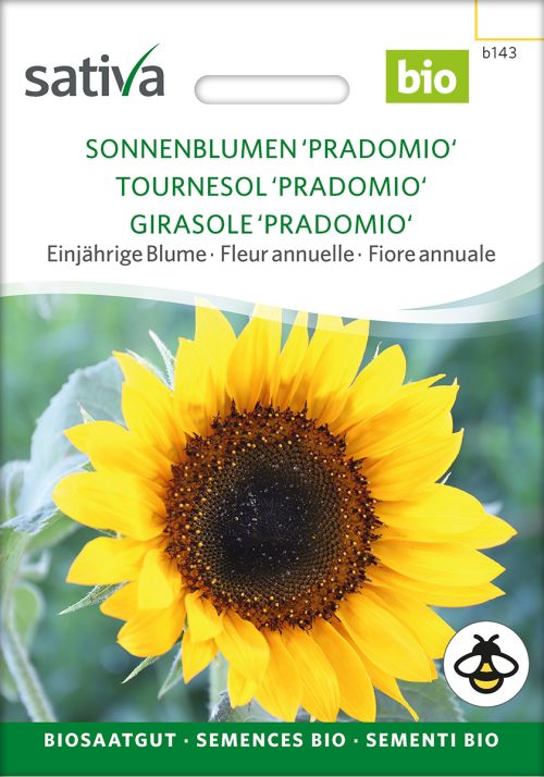 Sonnenblume Pradomio einjÃ¤hrige blumen pro specie rara samen bio saatgut sativa kompost&liebe kaufen online shop