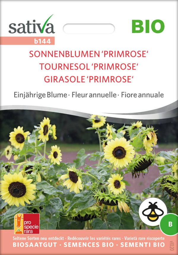 Sonnenblume Primrose Insektenweide Bienenweide einjährige blumen pro specie rara samen bio saatgut sativa kompost&liebe kaufen online shop