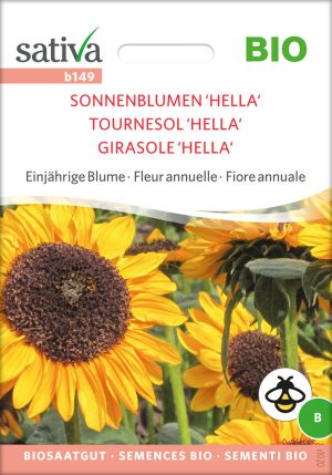 Sonnenblume Hella Insektenweide Bienenweide einjährige blumen pro specie rara samen bio saatgut sativa kompost&liebe kaufen online shop