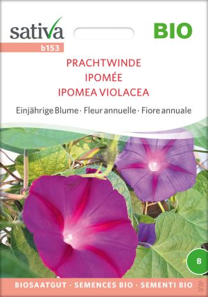 Prachtwinde einjährige blumen Insektenweide Bienenweide einjährige blumen pro specie rara samen bio saatgut sativa kompost&liebe kaufen online shop bestellen demeter