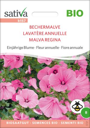 Sonnenblume Primrose Insektenweide Bienenweide einjährige blumen pro specie rara samen bio saatgut sativa kompost&liebe kaufen online shop