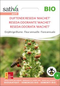 reseda duftende einjÃ¤hrige blumen Insektenweide Bienenweide einjÃ¤hrige blumen pro specie rara samen bio saatgut sativa kompost&liebe kaufen online shop