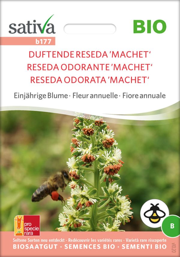 reseda duftende einjährige blumen Insektenweide Bienenweide einjährige blumen pro specie rara samen bio saatgut sativa kompost&liebe kaufen online shop