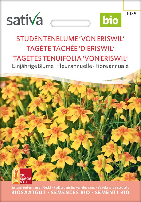 studentenblume von ehrenlegion Insektenweide Bienenweide einjährige blumen pro specie rara samen bio saatgut sativa kompost&liebe kaufen online shop