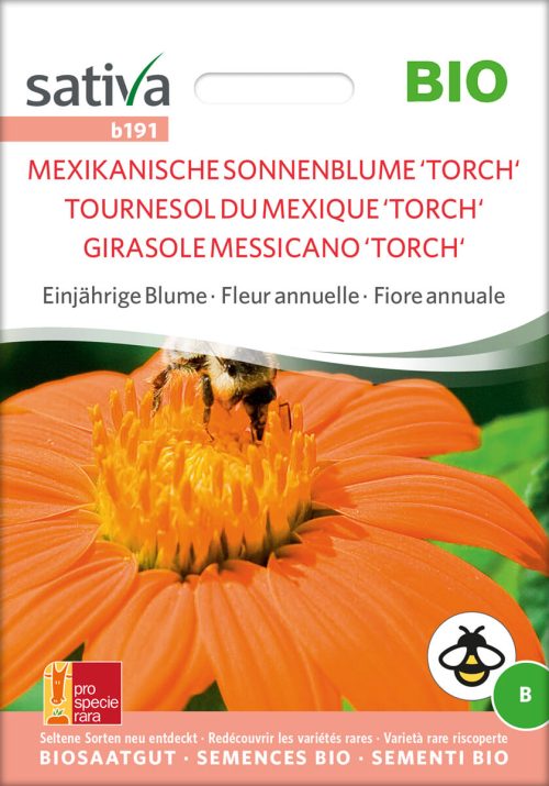 Mexikanische Sonnenblume Torch Insektenweide Bienenweide einjÃ¤hrige blumen pro specie rara samen bio saatgut sativa kompost&liebe kaufen online shop