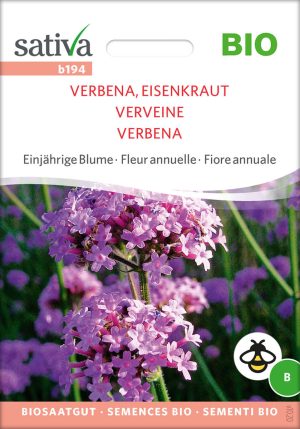 verbena eisenkraut einjährige blumen Insektenweide Bienenweide einjährige blumen pro specie rara samen bio saatgut sativa kompost&liebe kaufen online shop