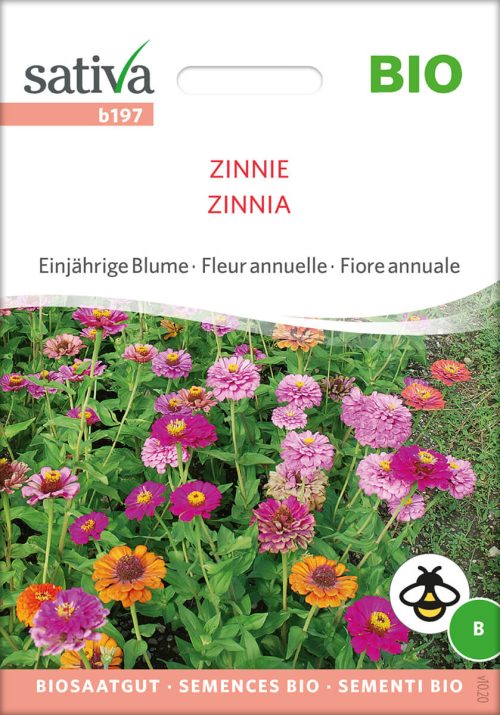 zinnie einjÃ¤hrige blumen Insektenweide Bienenweide einjÃ¤hrige blumen pro specie rara samen bio saatgut sativa kompost&liebe kaufen online shop