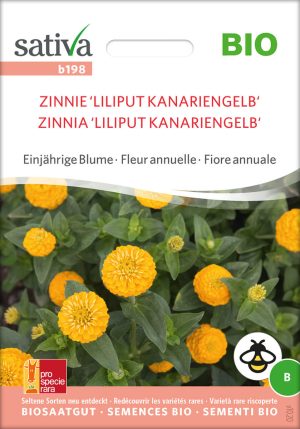 zinnie liliput kanariengelb einjährige blumen Insektenweide Bienenweide einjährige blumen pro specie rara samen bio saatgut sativa kompost&liebe kaufen online shop