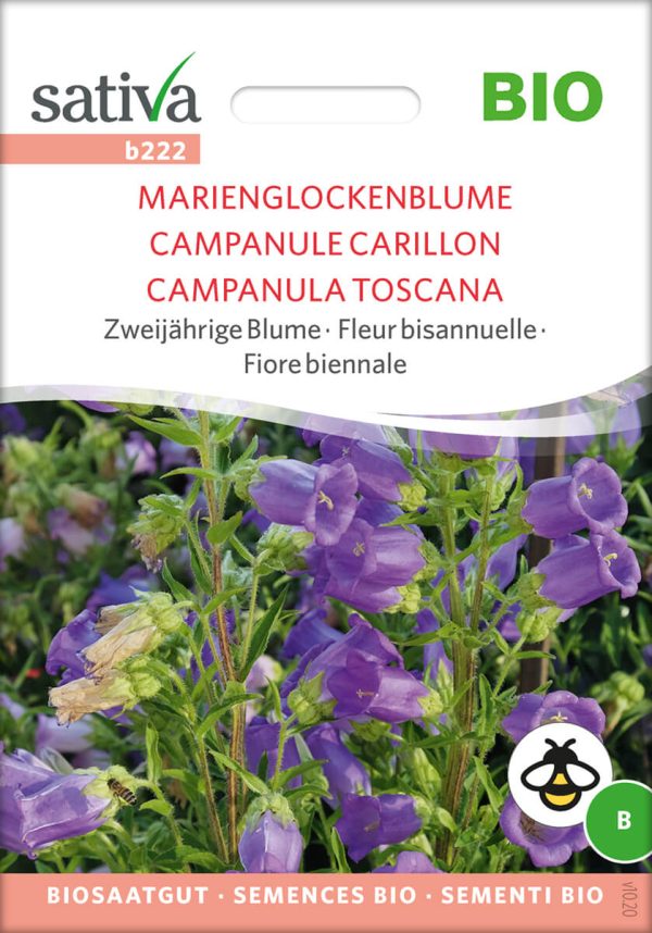 Marienglockenblume zweijährige blumen Insektenweide Bienenweide einjährige blumen pro specie rara samen bio saatgut sativa kompost&liebe kaufen online shop