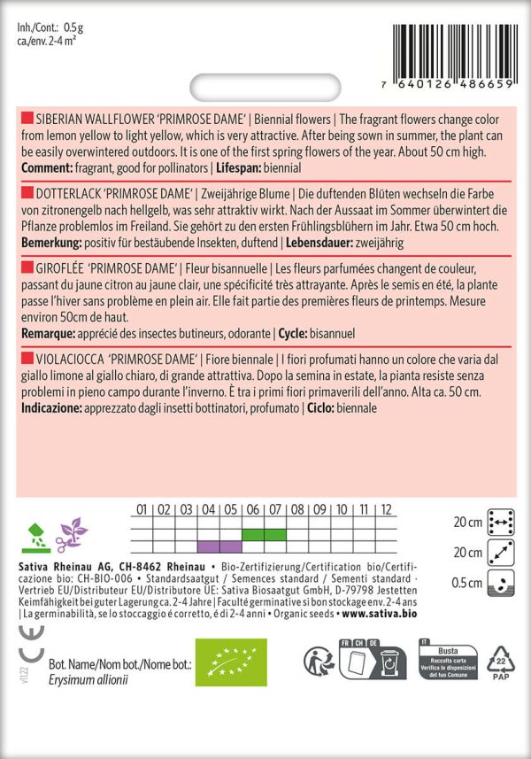 Dotterlack 'Primerose Dame' zweijährige blumen stauden Insektenweide Bienenweide einjährige blumen pro specie rara samen bio saatgut sativa kompost&liebe kaufen online shop bestellen demeter