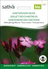 Karthäuser Nelke mehrjäjrige blumen pro specie rara samen bio saatgut sativa kompost&liebe kaufen online shop